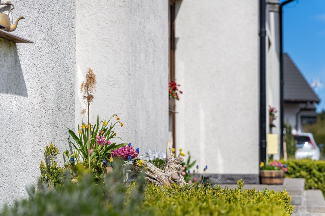 Osrodek Wypoczynkowy Swallow Apartamento Grzybowo  Exterior foto
